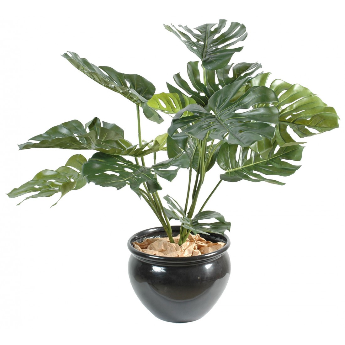 philodendron-geant-artificiel