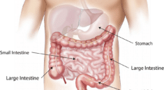 gastro-entérologie